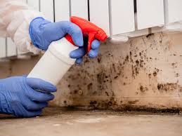 Best Comprehensive Air Testing for Mold Contaminants  in USA